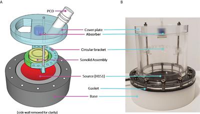 Bactericidal and anti-biofilm effects of uncharged and cationic ultrasound-responsive nitric oxide microbubbles on Pseudomonas aeruginosa biofilms
